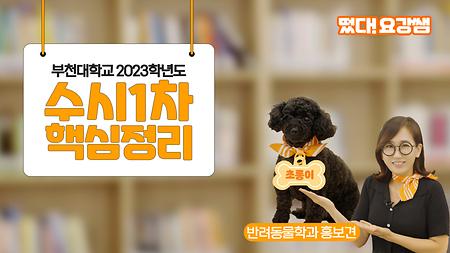 부천대학교 요강쌤_2023학년도 수시1차 핵심정리!!